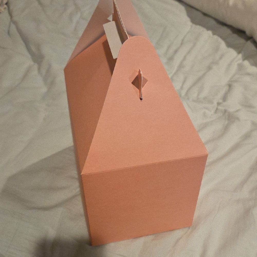 Beverly Hills Hotel & Bungalows Pink Tote Box - Picture 3 of 4